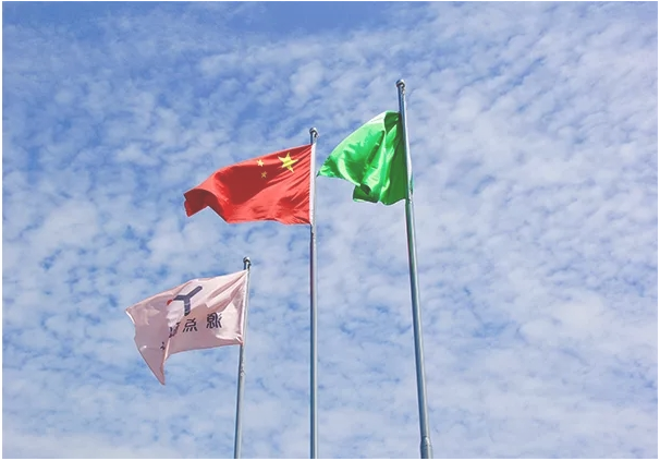 公司簡介